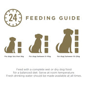 Encore Natural Wet Dog Food Pouches Finest Chicken Selection in Jelly, 5x100g Pouches