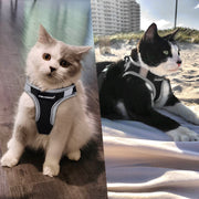FAYOGOO Cat Harness and Lead Set, Cat Harness for Walking Escape Proof, Adjustable Cat Lead and Harness Set Lifetime Replacement