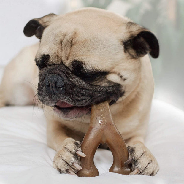 Benebone Indestructible Wishbone Dog Chew Toy for Aggressive Chewers, Long Lasting Tough Boredom Breaker for Dogs,
