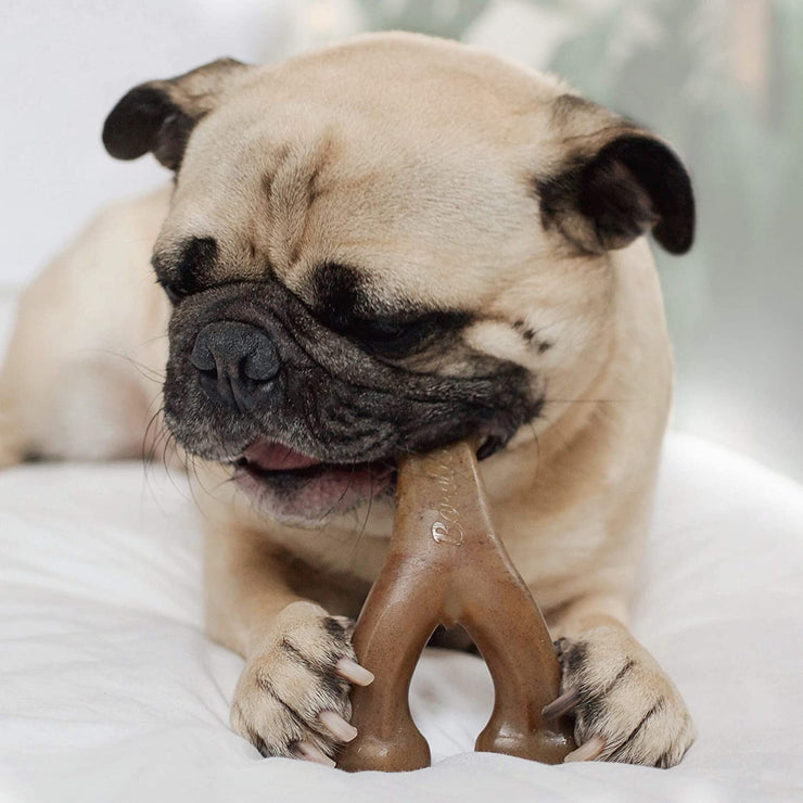 Benebone Indestructible Wishbone Dog Chew Toy for Aggressive Chewers, Long Lasting Tough Boredom Breaker for Dogs,