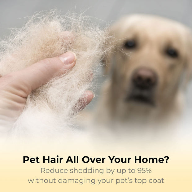Best Professional Deshedding Tool and Pet Grooming Brush – D-Shedz by Thunderpaws for Small, Medium and Large Breeds of Dogs and Cats with Short or Long Hair Yellow