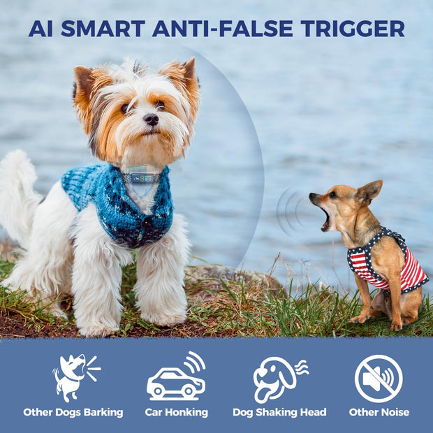 Anti Bark Collar for Dogs, No Shock Bark Collar, Beep & Vibration, 5 Adjustable Sensitivity, Rechargeable Dog Barking Collar, IP67 Waterproof