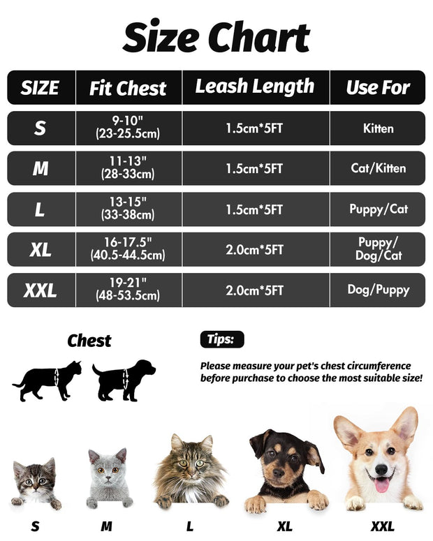 FAYOGOO Cat Harness and Lead Set, Cat Harness for Walking Escape Proof, Adjustable Cat Lead and Harness Set Lifetime Replacement