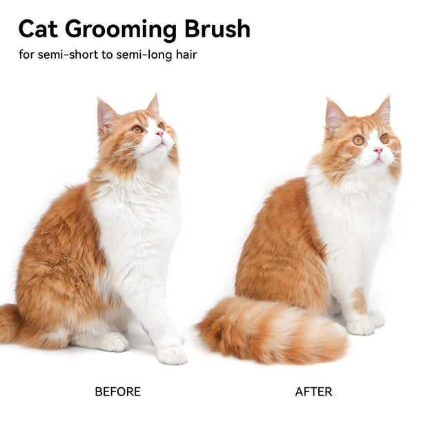 aumuca Cat Brush with Release Button, Cat Grooming Brush for Long or Short Haired Cats, Cat Hair Brush for Shedding Cat Comb for Pets Removing