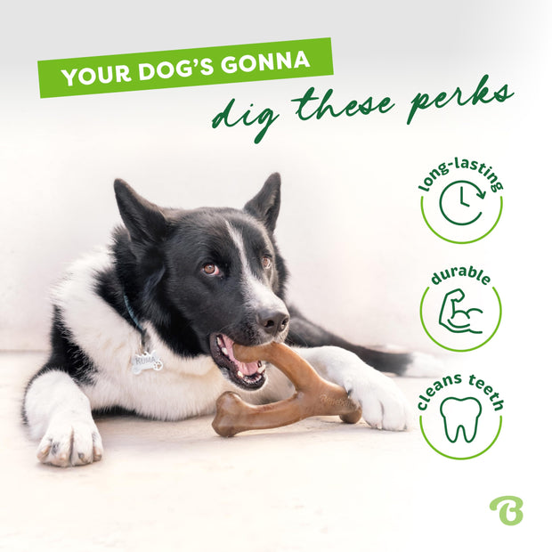 Benebone Indestructible Wishbone Dog Chew Toy for Aggressive Chewers, Long Lasting Tough Boredom Breaker for Dogs,